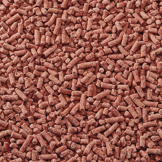 High Energy Berry Suet Pellets